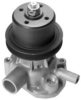 BUGATTI PA1176 Water Pump